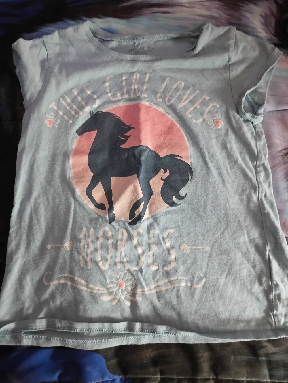 The Children's Place Light Blue Tee with Navy Horse and Pink Sun Graphic